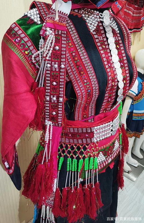 深度解讀 明星張靜初所穿的花腰彝民族服飾