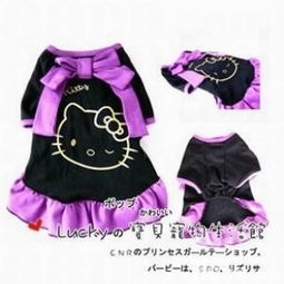 引領寵物時尚，打造溫馨生活 Dog Society 的寵物服飾與用品王國